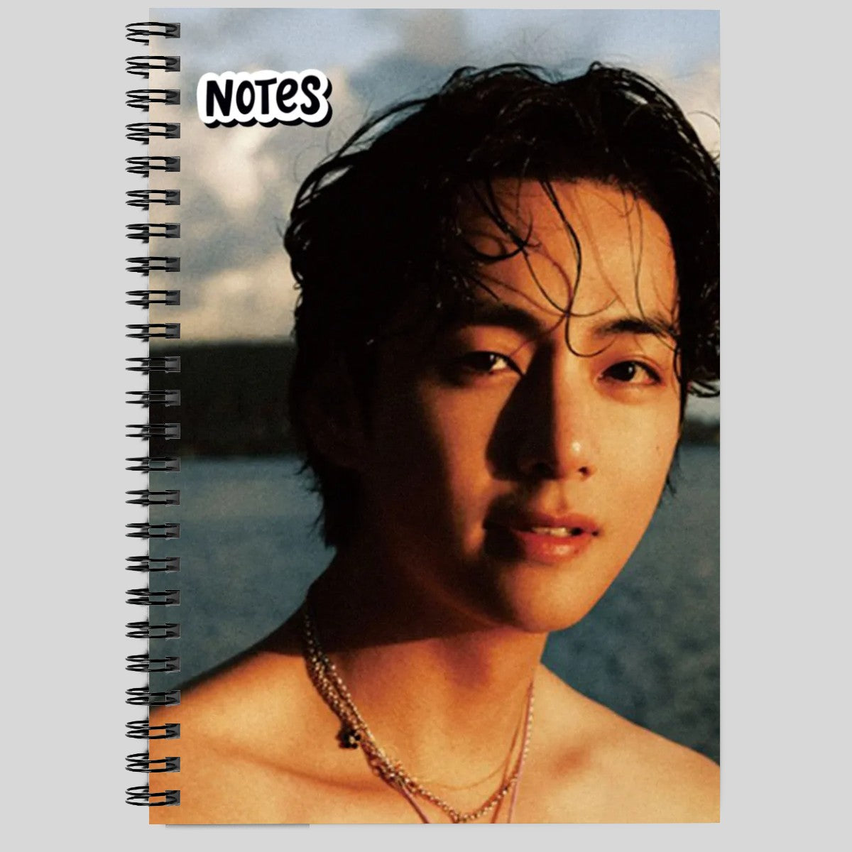 V Notebook